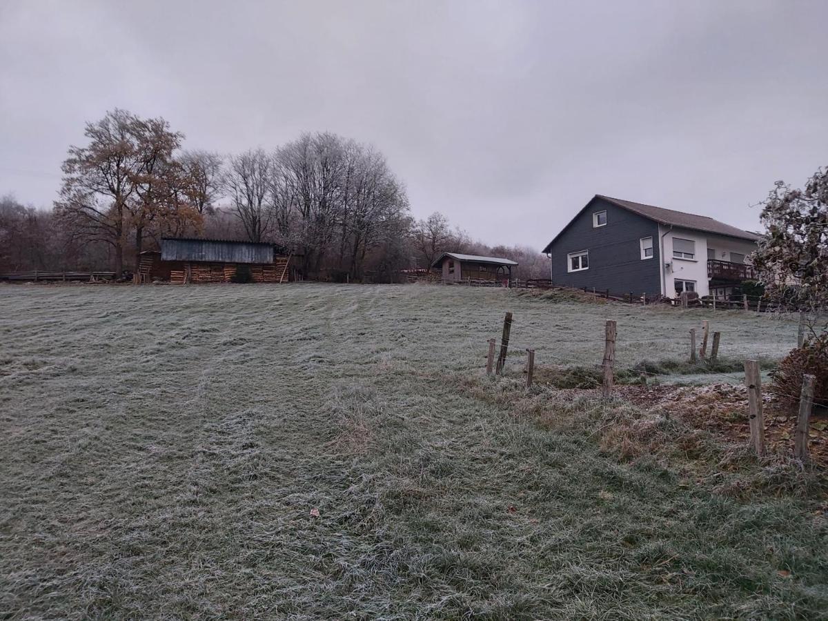 Hubis Ferienwohnung Olpe bei Meschede Kültér fotó